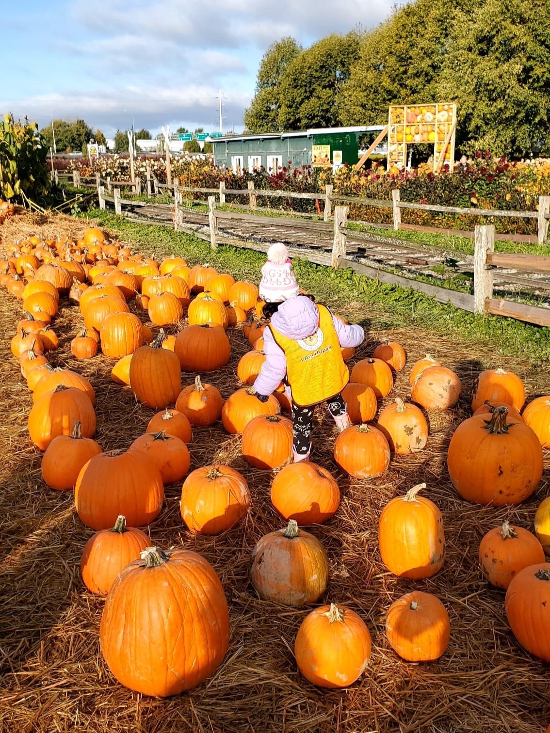 5933c307-a408-44d7-815a-f4a790ceca27