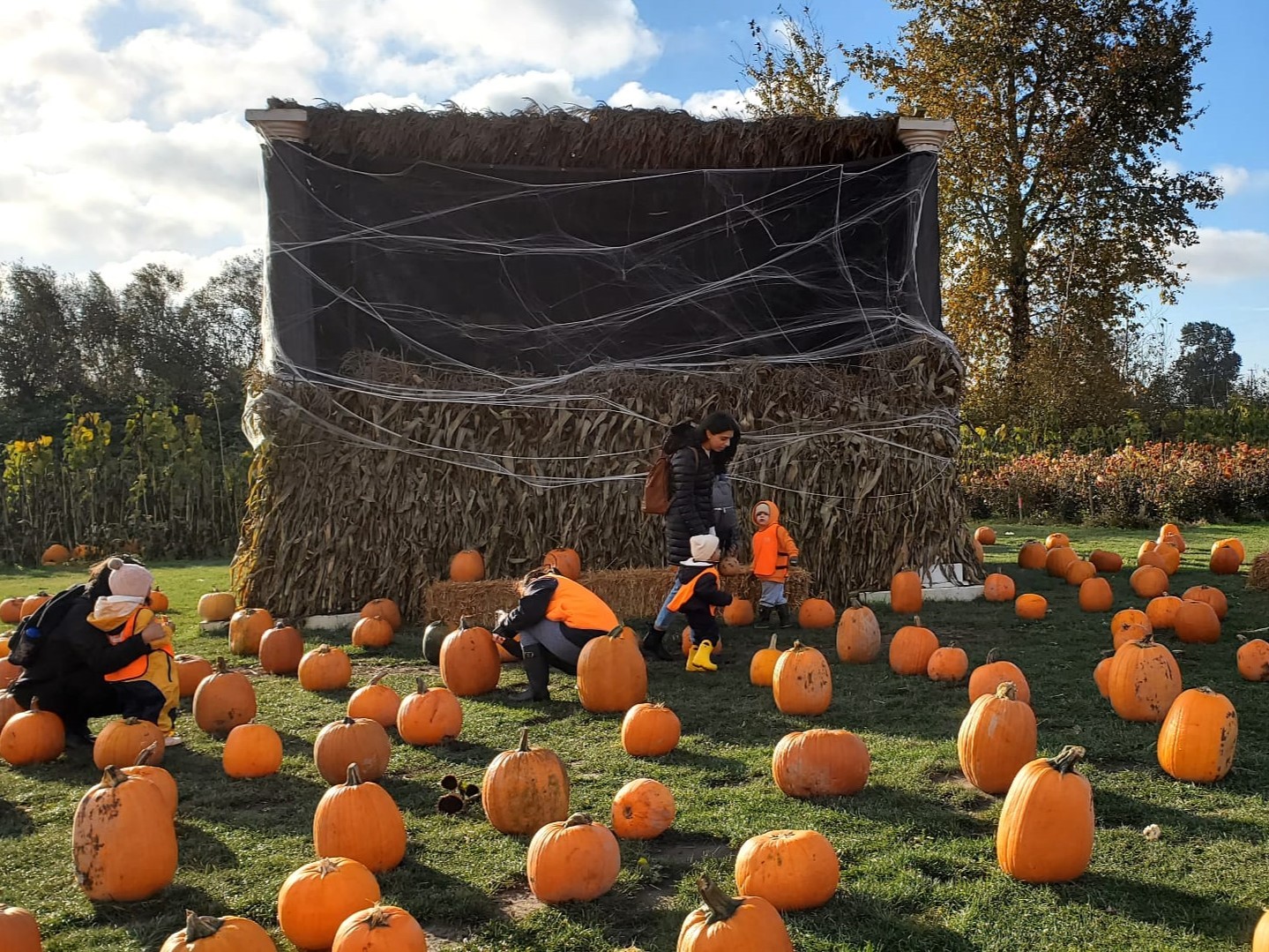 68231777-4589-420b-8924-1e8ec376af26