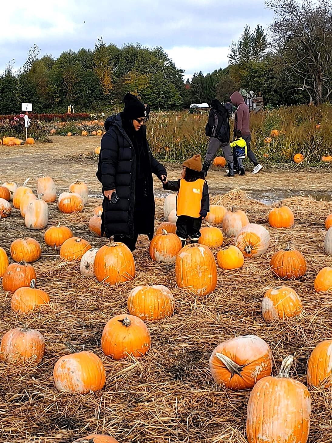 457fd333-d04b-46f2-af84-4341de81c087